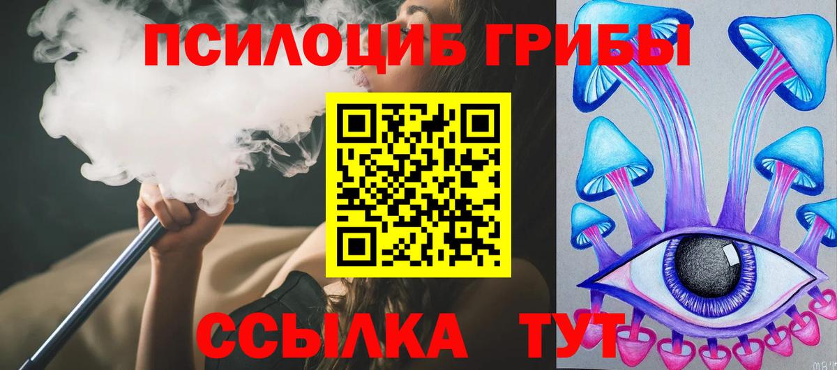 Псилоцибиновые грибы Psilocybine cubensis Кызыл