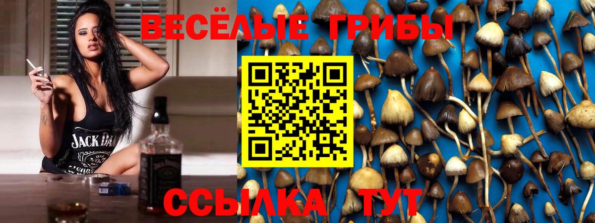Кызыл  цены   Вход с VPN  Галлюциногенные грибы Cubensis  Псилоцибиновые грибы Psilocybe 