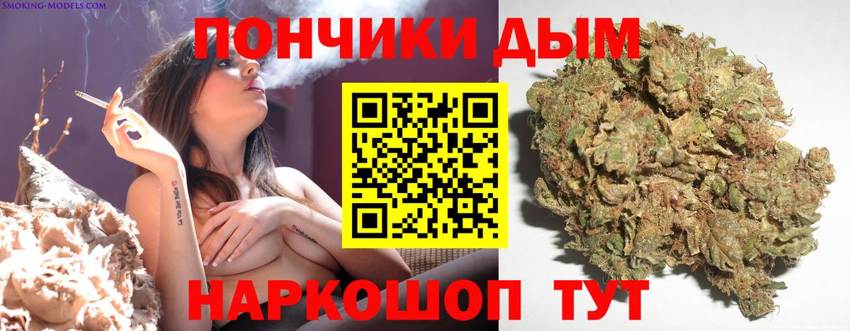Каннабис сатива  Конопля планчик  Вход с VPN  Кызыл 
